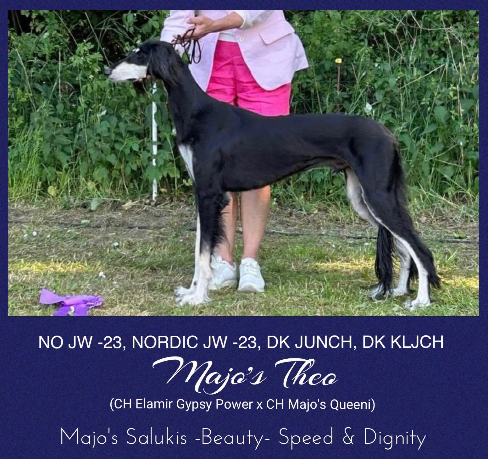 NO JW-23, NORDIC JW -23, DK JUNCH, DK KLJUNCH Majo's Theo