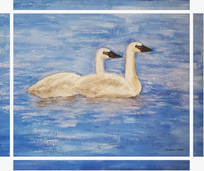 The Swans 20x16 Print on Wrapped Canvas