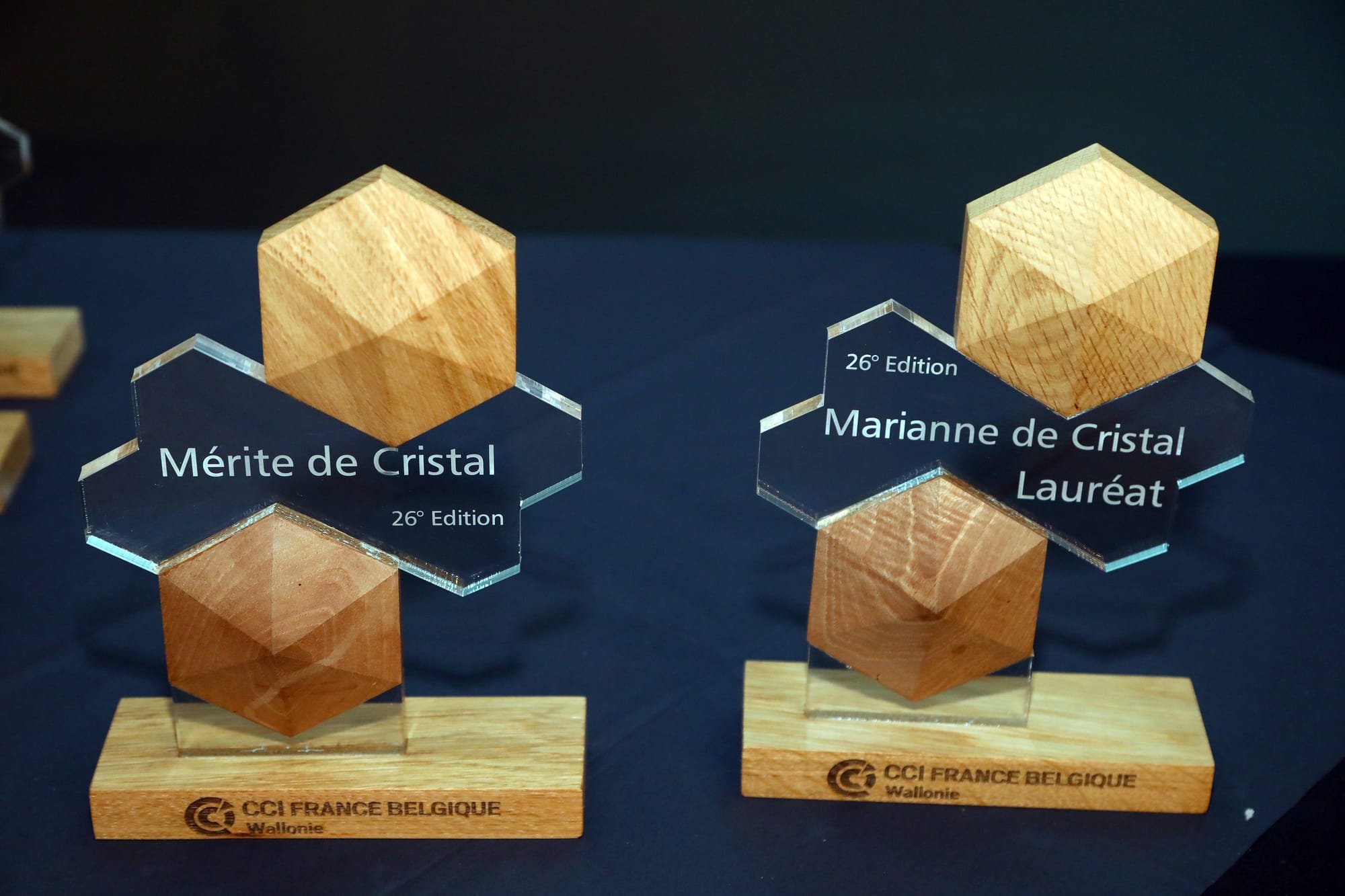 Marianne et Mérite de Cristal 2023 : Célébration de l'excellence entrepreneuriale franco-wallonne à Liège Airport