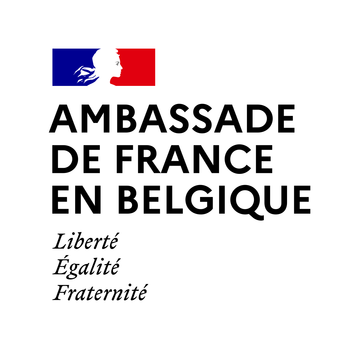 En direct de l'Ambassade de France de Bruxelles