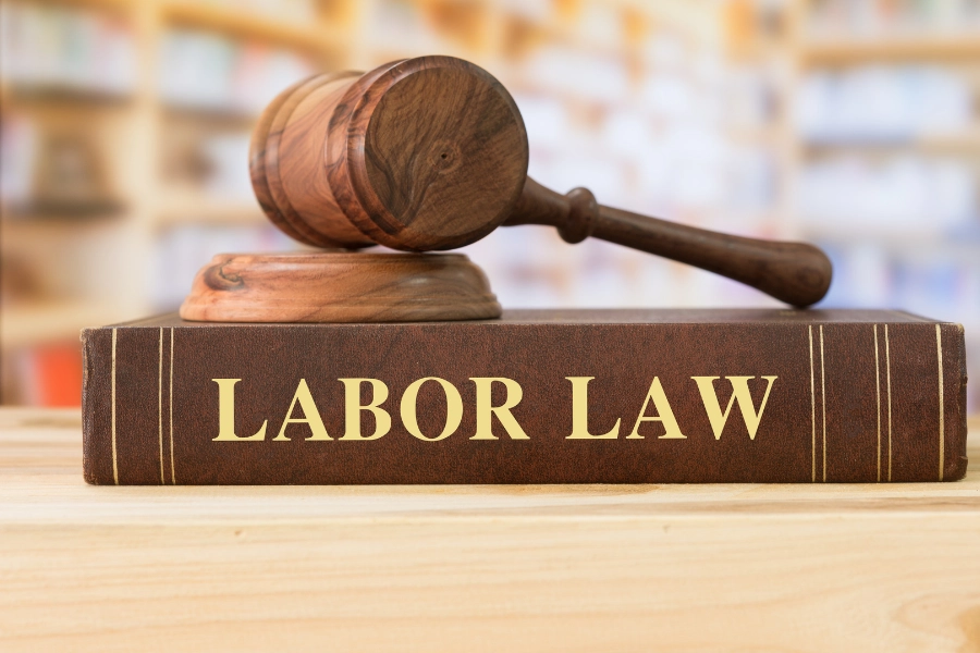 Navigating Labor Law in Israel: Vital Insights for Employees and Employers