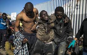 L'actualité de la migration enAfriqueetsesprincipauxavantages que vousdevezconnaître - Afroplanete