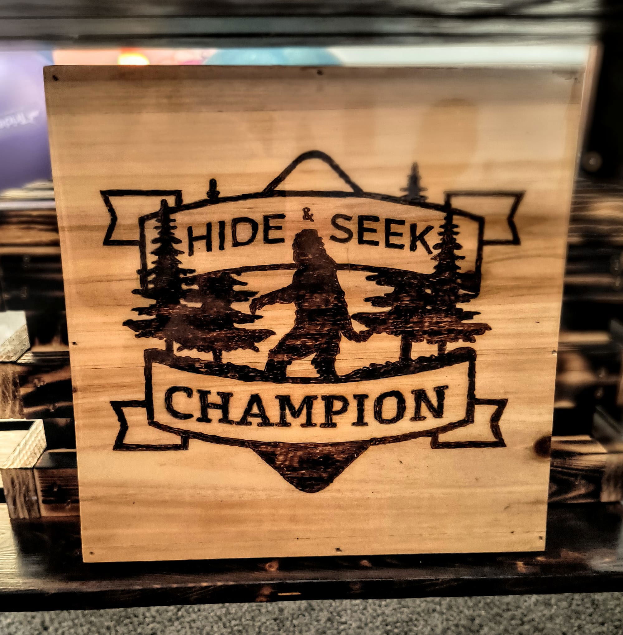 Hide & Seek Champ ($15)
