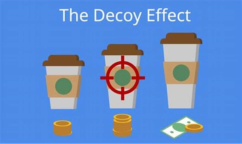 Leffet De Leurre Le Decoy Effect 