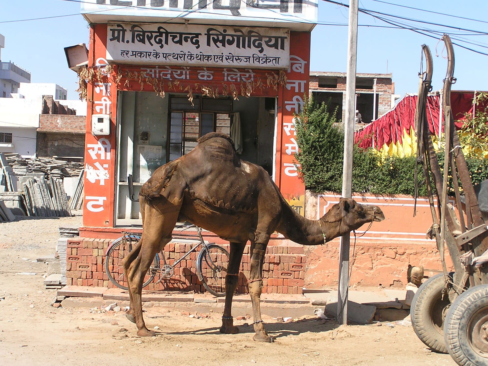 Into Rajasthan