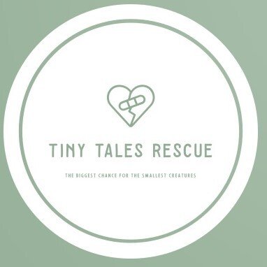 Tiny Tales | Small Animal Rescue
