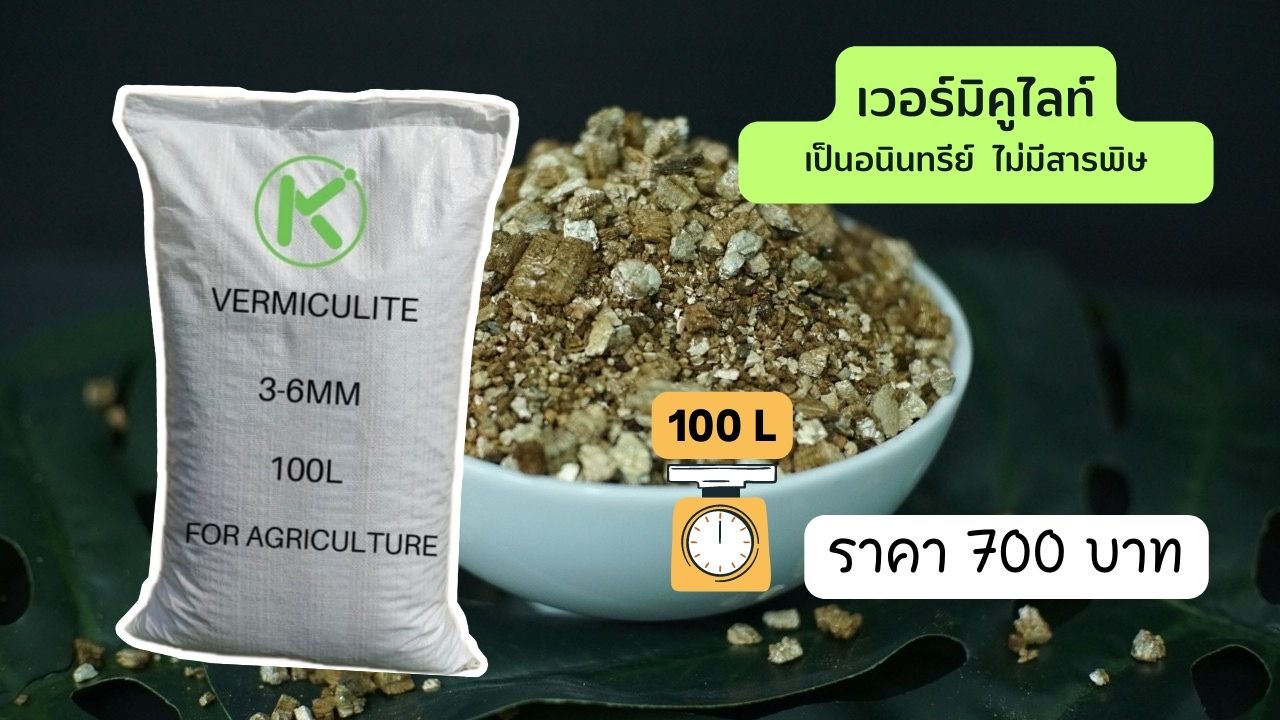 "Vermiculite" What It Is And How To Use It Right?