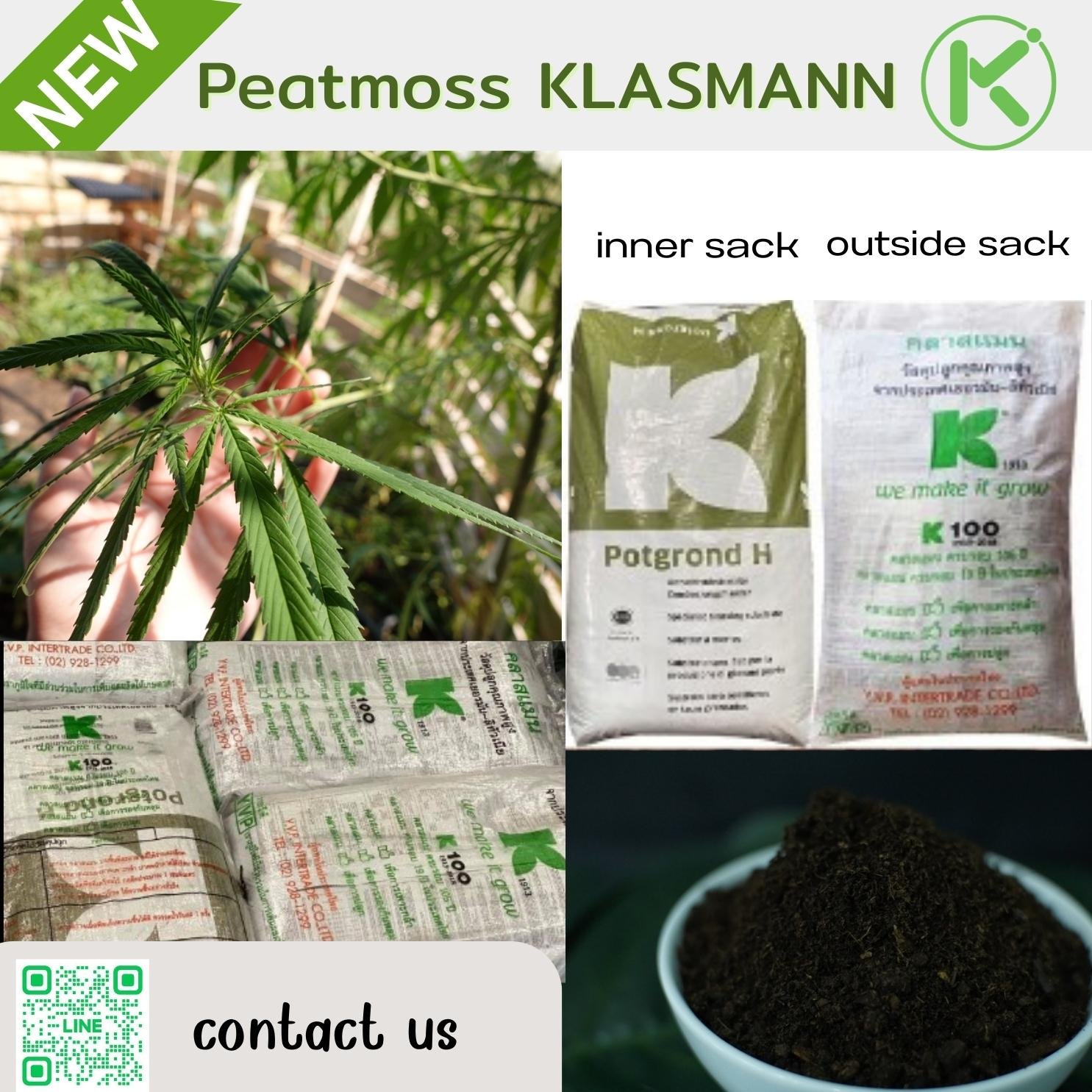 Peat Moss: What it's Made of & What it's Good For