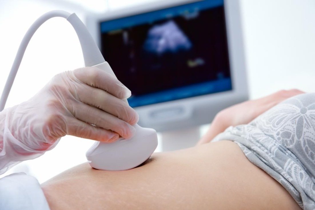 Remote and Offline Ultrasound Image Analysis