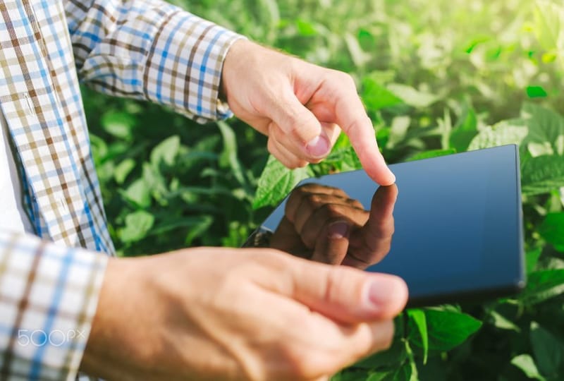 Plant Protection APP based on A.I. Technology ISCU