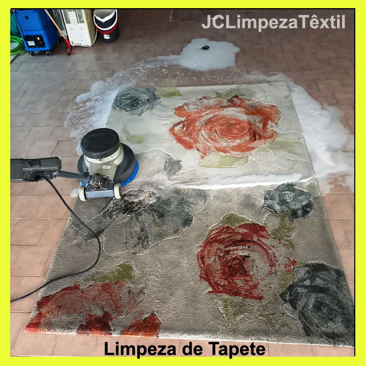 LIMPEZA Sofás Tapetes Colchões