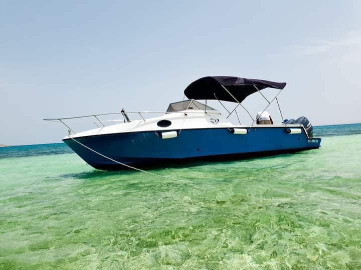 Private Speedboat to Dolphin House