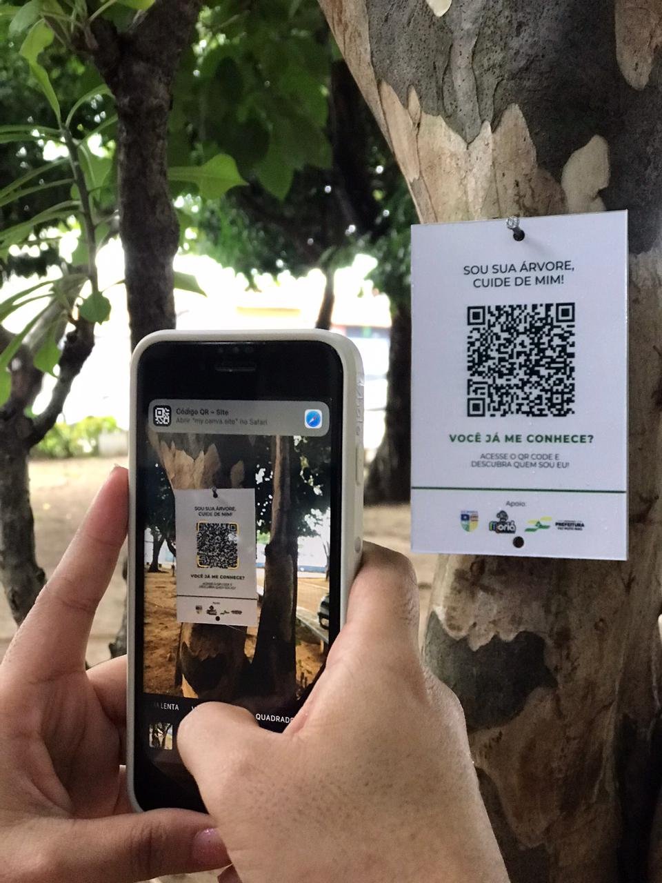 Implementação de placas de identificação contendo QR code nos Componentes Arbóreos da praça união localizada em Imperatriz - MA