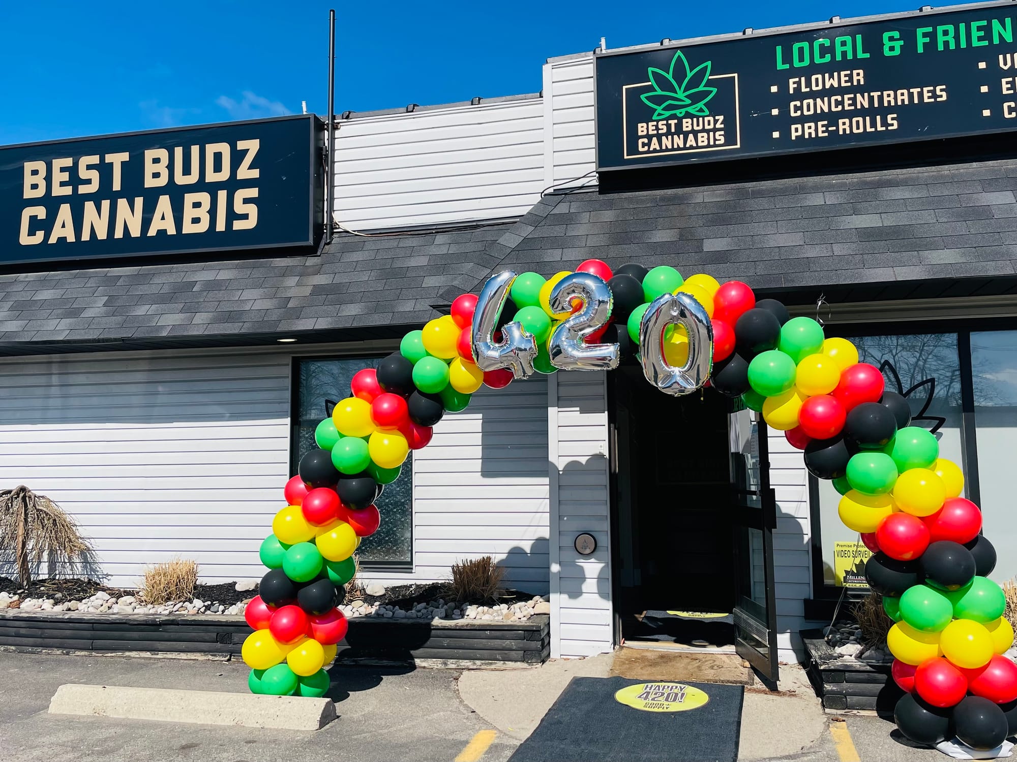 The Event Lady Balloons Brantford Party Rentals