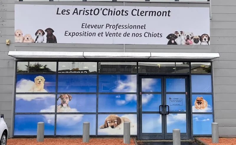 Salon Du Chiot Clermont Ferrand
