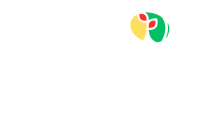 coaching mami