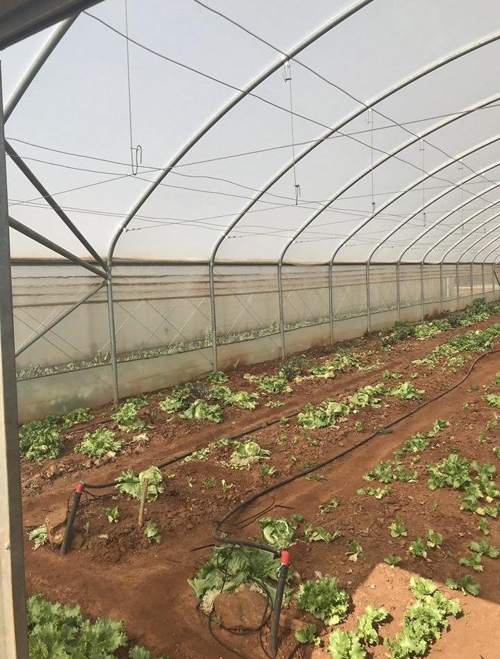 The City of Joburg creates Agri resource centers for informal rural settlements