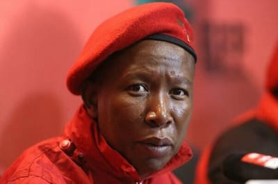 News The Eff Leader Julius Malema Letsohla Live