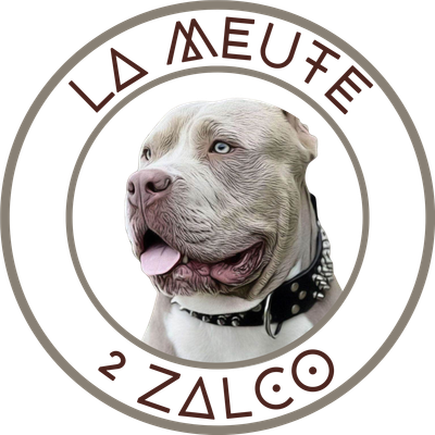 LA MEUTE 2 ZALCO