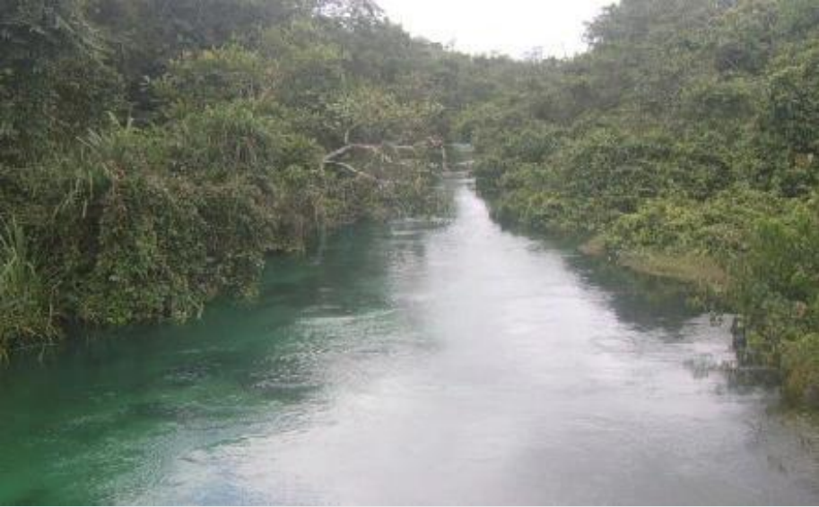 8 ways you can help the river