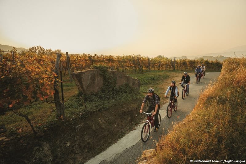 Bike&Wine Monte Generoso