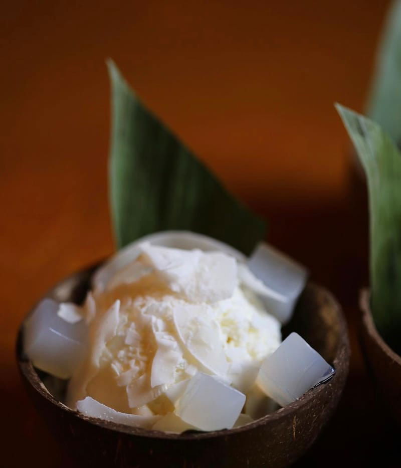 Coconut Ice Cream