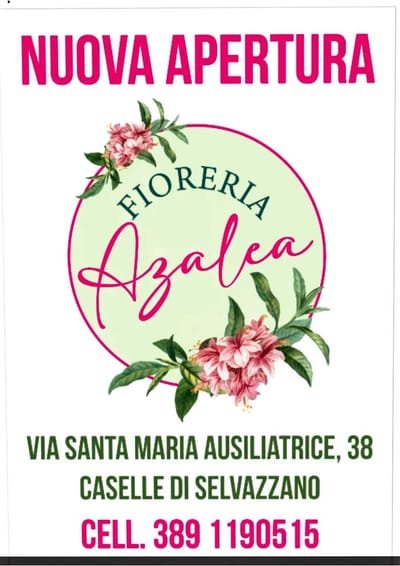 Fioreria Azalea di Ifrim Maria