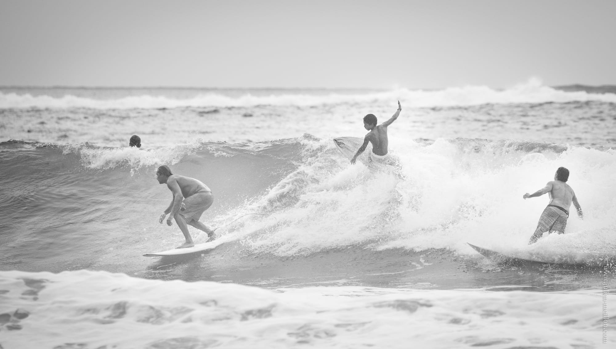 Les surfeurs de Terahu