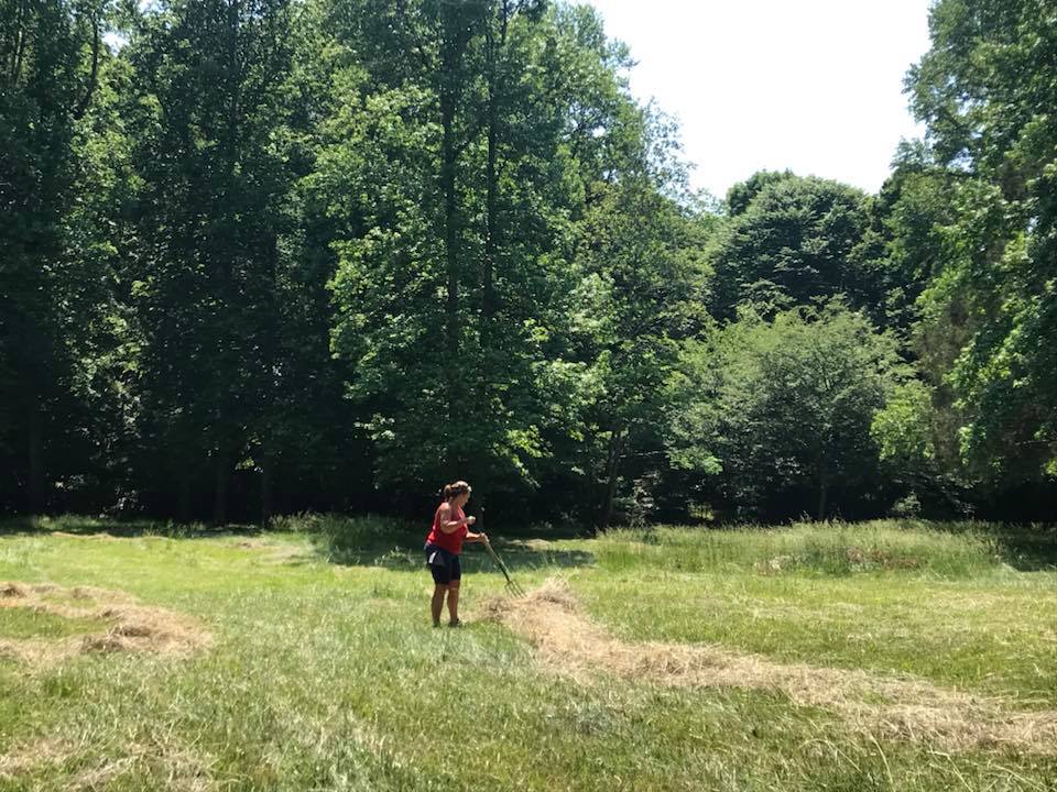 The Midland Farms Store