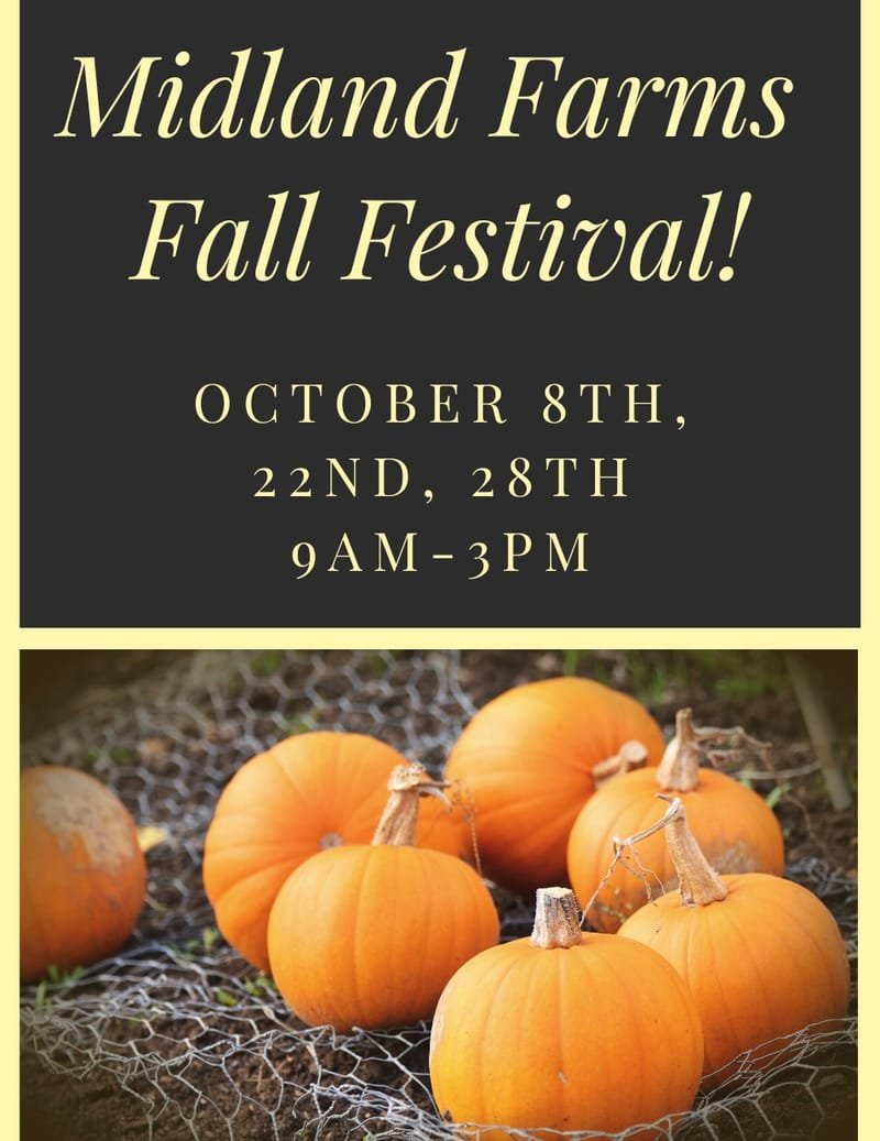 Midland Farms Fall Festival October 29