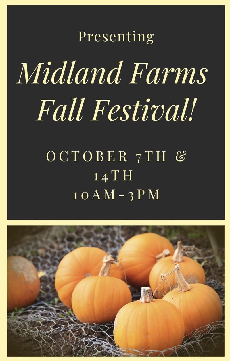Midland Farms Fall Festival October 7th