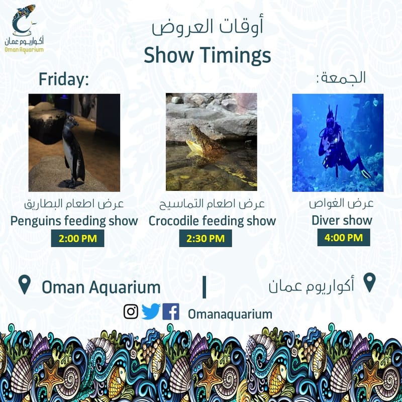 Friday Show Timing