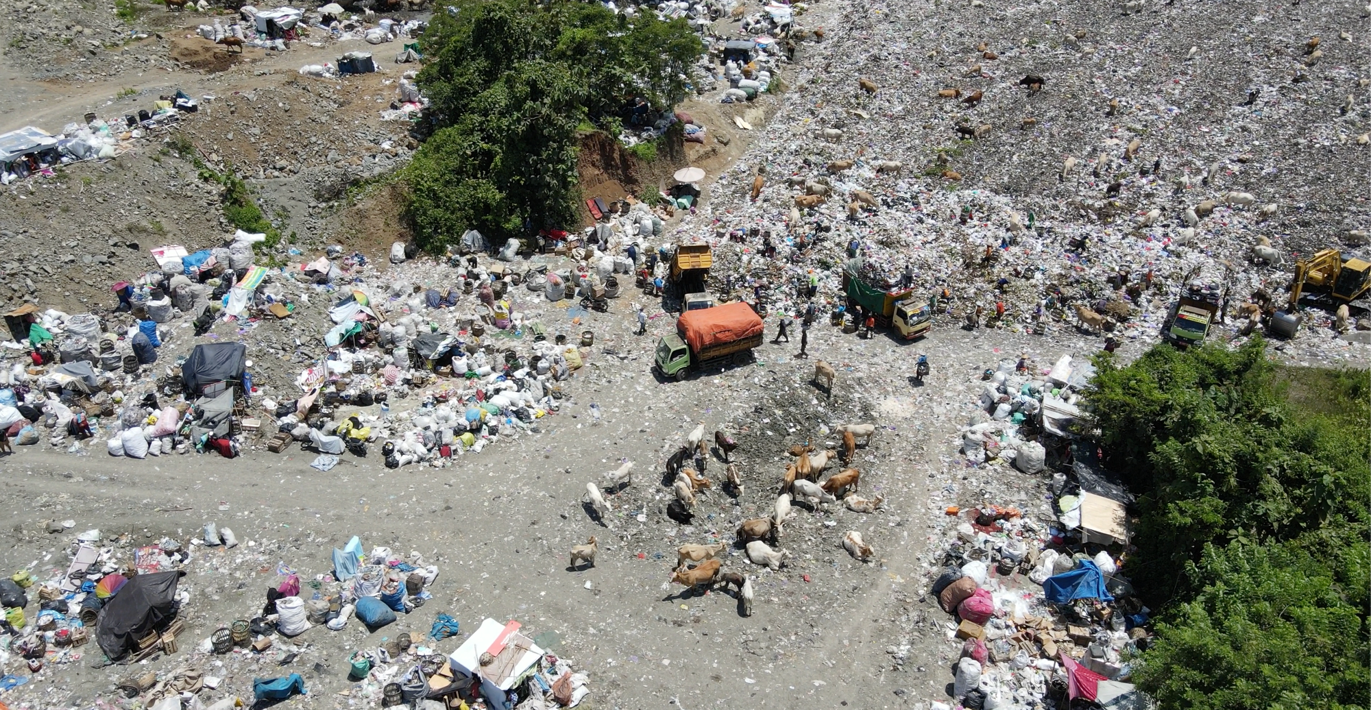 O descaso com a reciclagem na América Latina: como nossas ações contribuem para a destruição do planeta