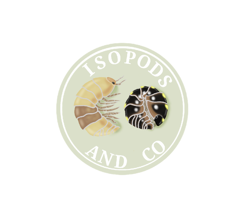 Isopods and Co