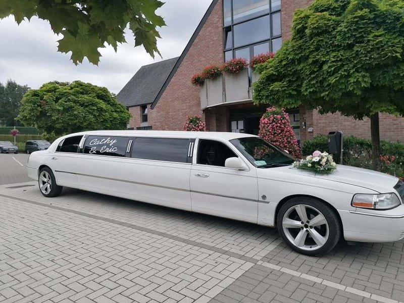 3D limo