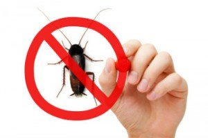 Choosing A Pest Control Company image