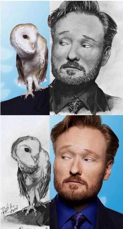 Conan O'Brien And the Owl