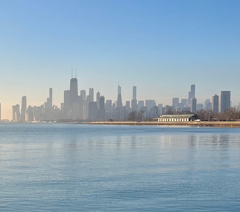 Lakeview Dogs Lakeview Dogs