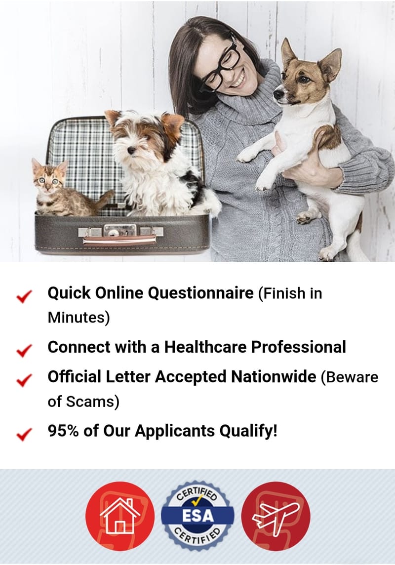 american-service-pets-welcome-american-service-petswish-you-could