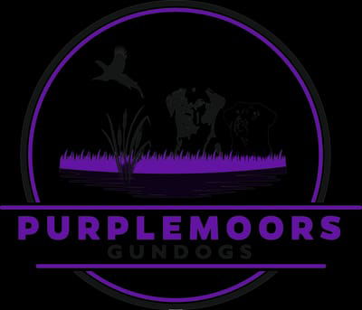 Purplemoors Gundogs