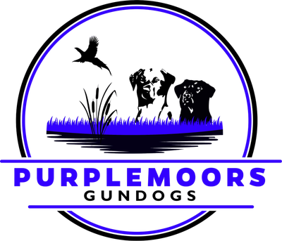 Purplemoors Gundogs