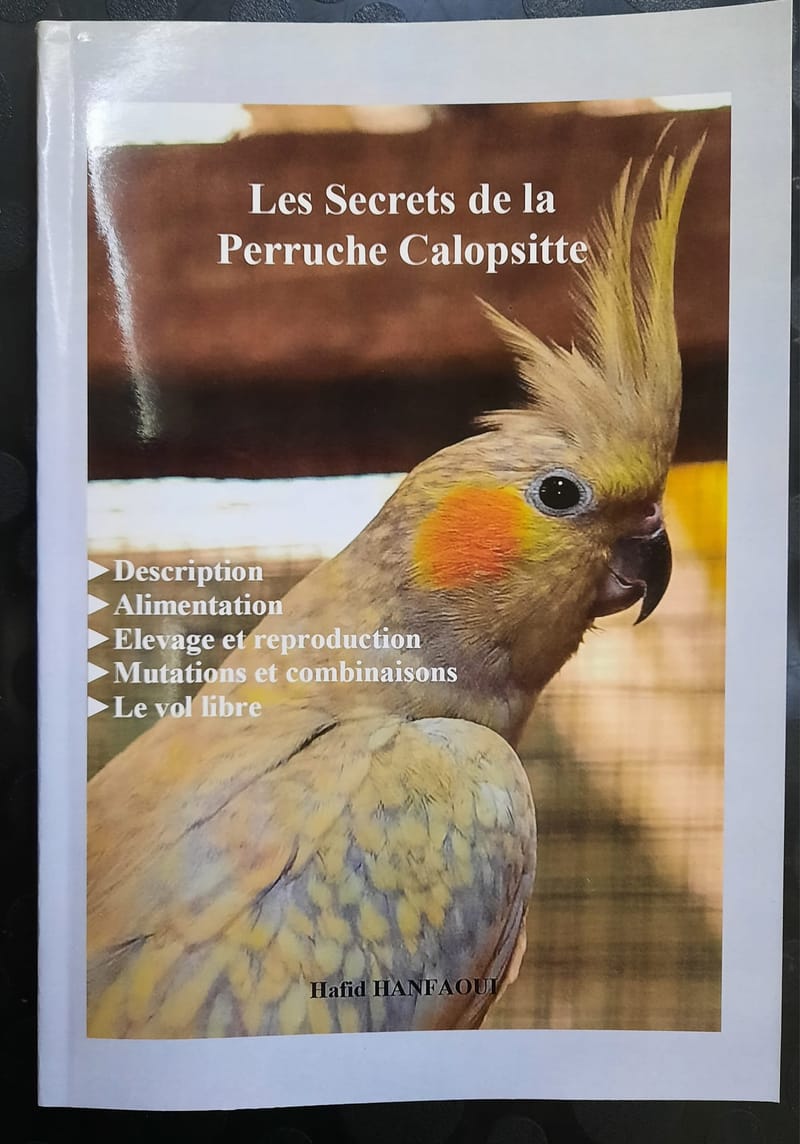 Les secrets de la perruche calopsitte