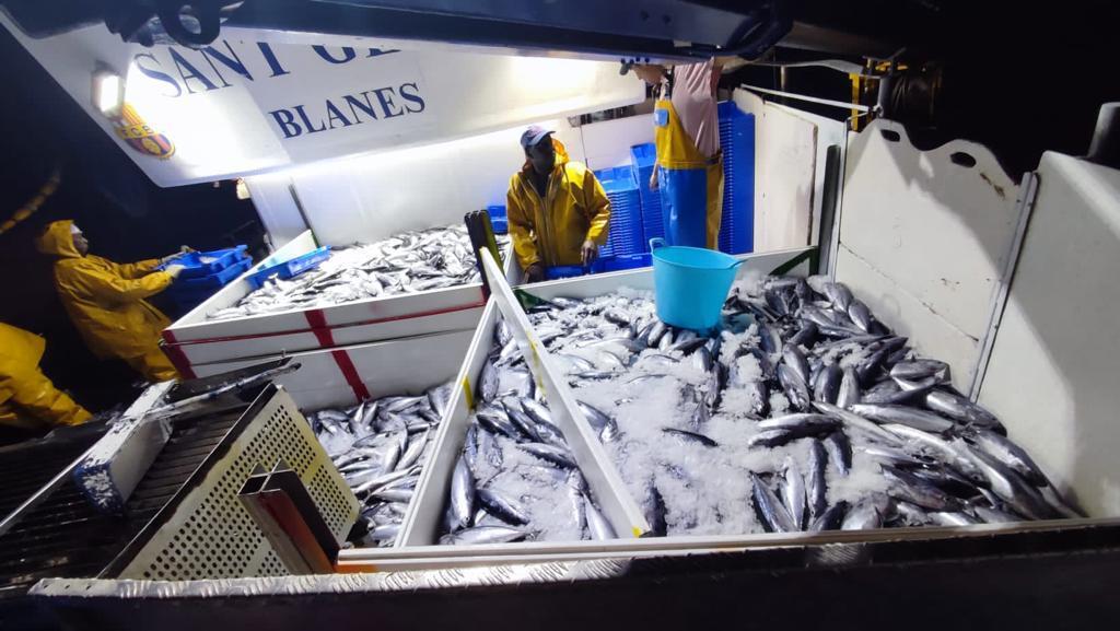 Dia de pesca de melbas en el Sant Genis