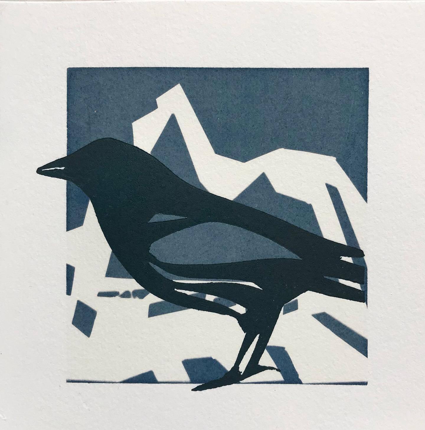 Cyanotype with relief print April 23
