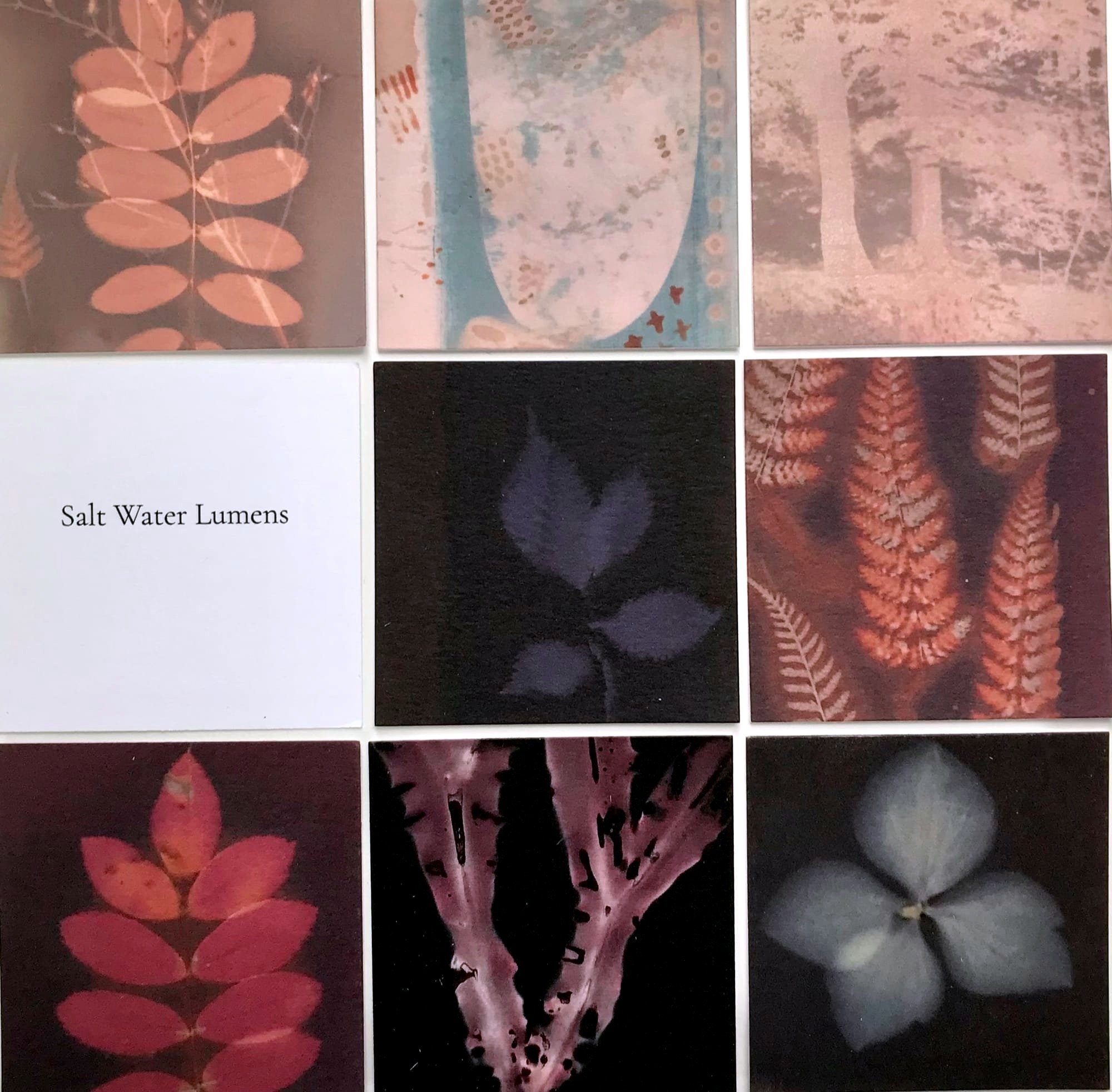 Salt Water Lumens - a collection of specimens
