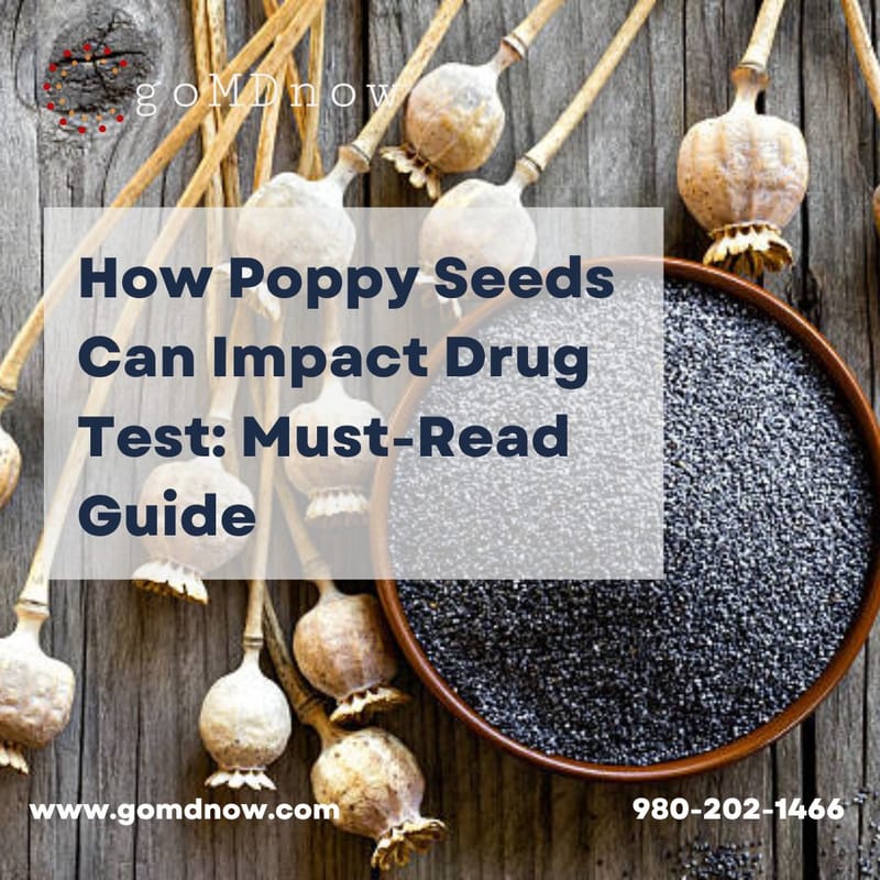How Poppy Seeds Can Impact Drug Test MustRead Guide goMDnow