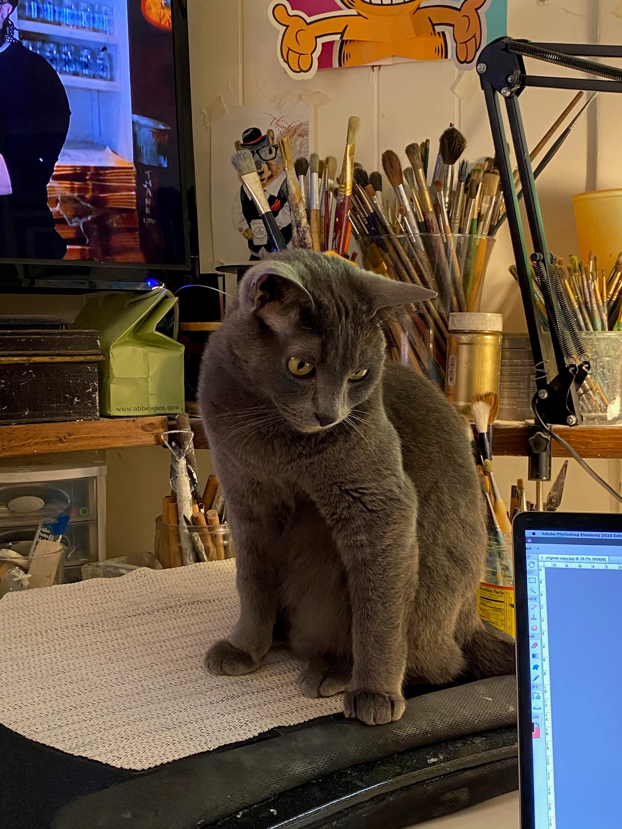 STUDIO HELPER