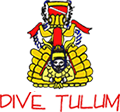Dive Tulum