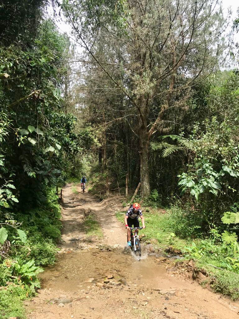 Almacén de Bicicletas Trocha y Montaña