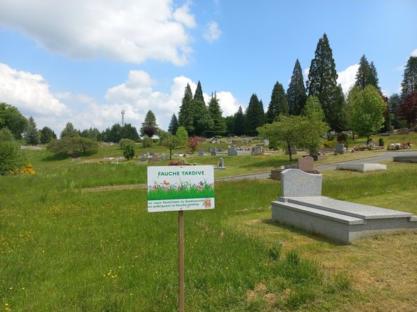 Plus de pesticides au cimetière